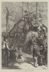 Montagnachmittag im Zoologischen Garten